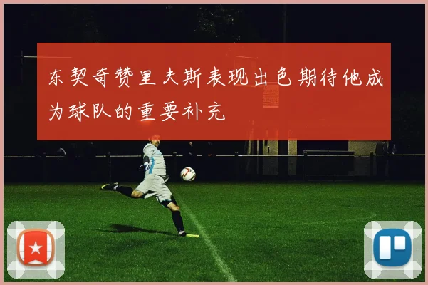东契奇赞里夫斯表现出色期待他成为球队的重要补充